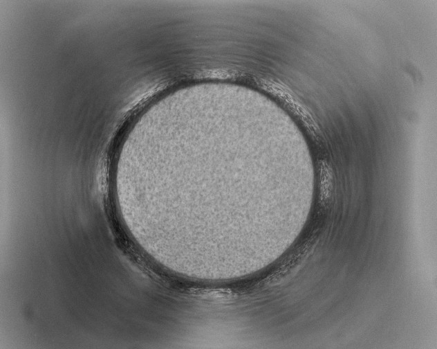 X0000116570683201001071155