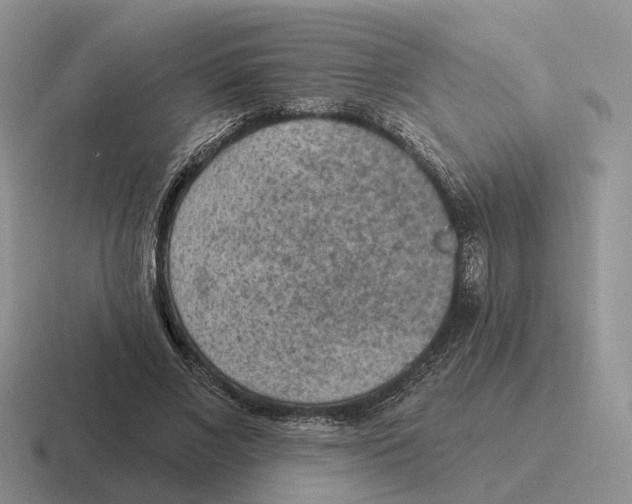 X0000116570685201001071155