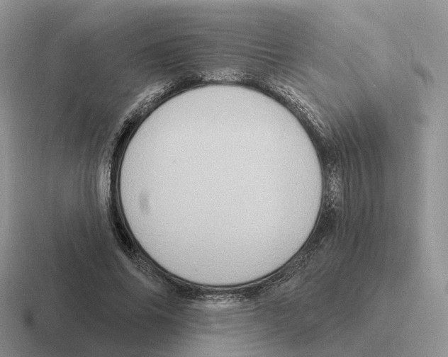 X0000116570686201001071155