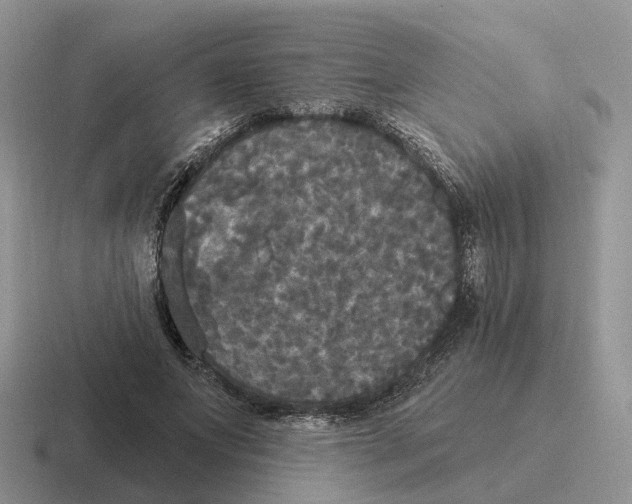 X0000116570687201001071155