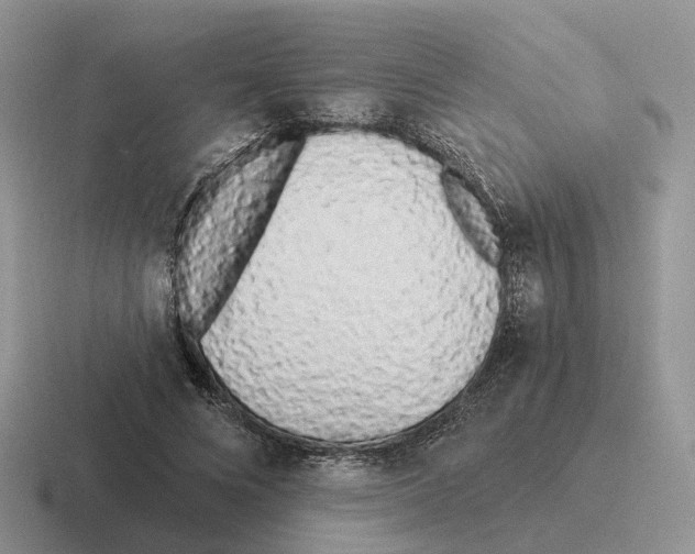 X0000116570688201001071155