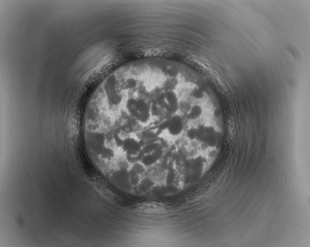 X0000116570691201001071155