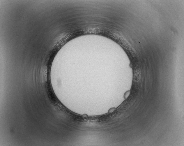 X0000116570694201001071155