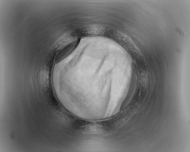 X0000116570696201001071155