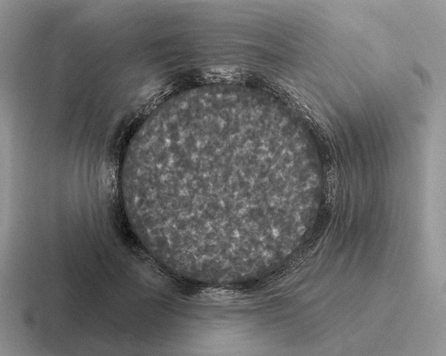 X0000116570699201001071155