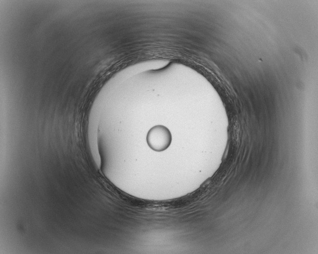 X0000116570701201001071155