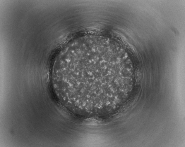 X0000116570703201001071155