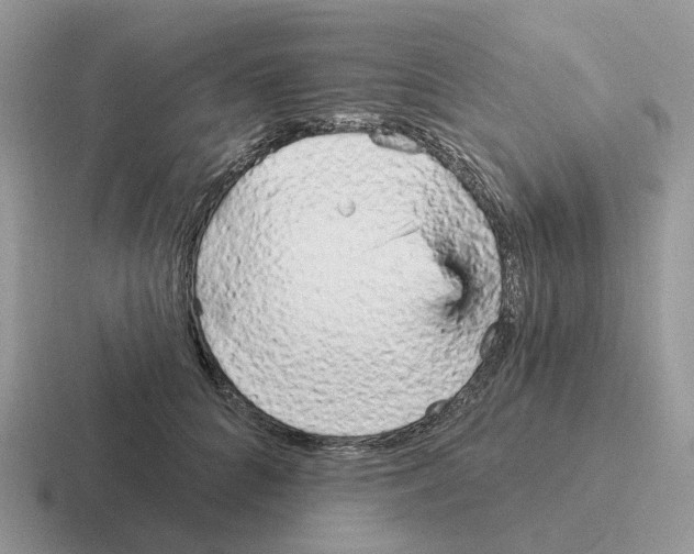 X0000116570704201001071155