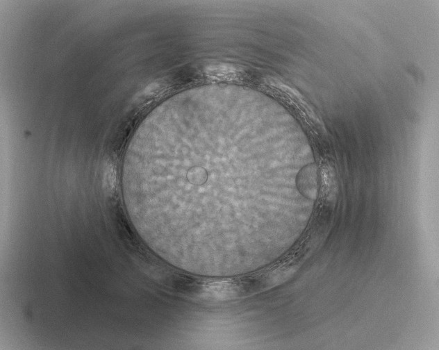 X0000116570705201001071155