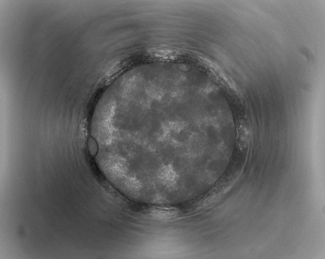 X0000116570707201001071155