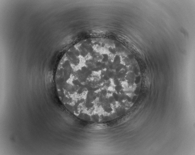 X0000116570711201001071155