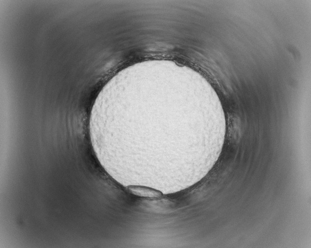 X0000116570712201001071155