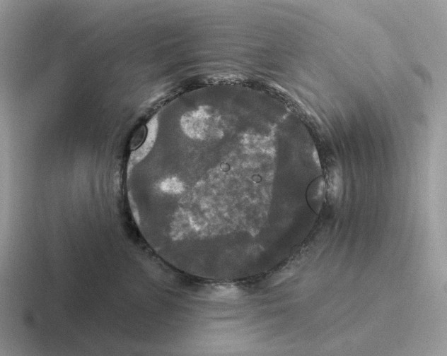 X0000116570715201001071155