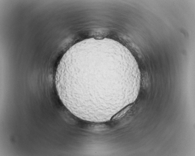 X0000116570716201001071155