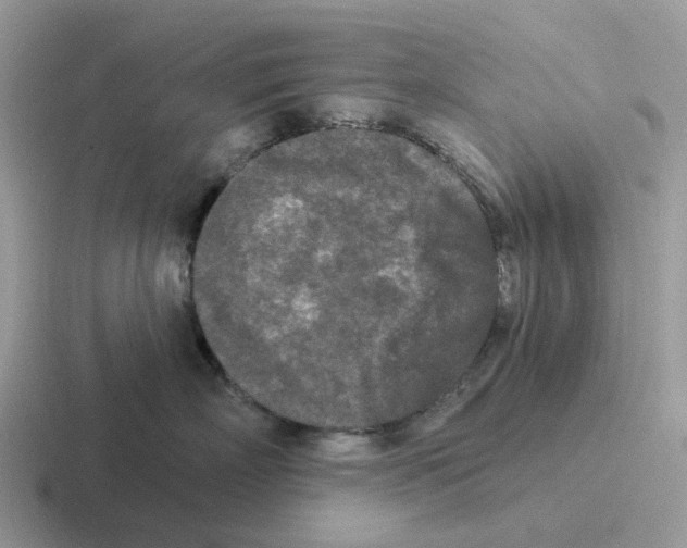 X0000116570718201001071154