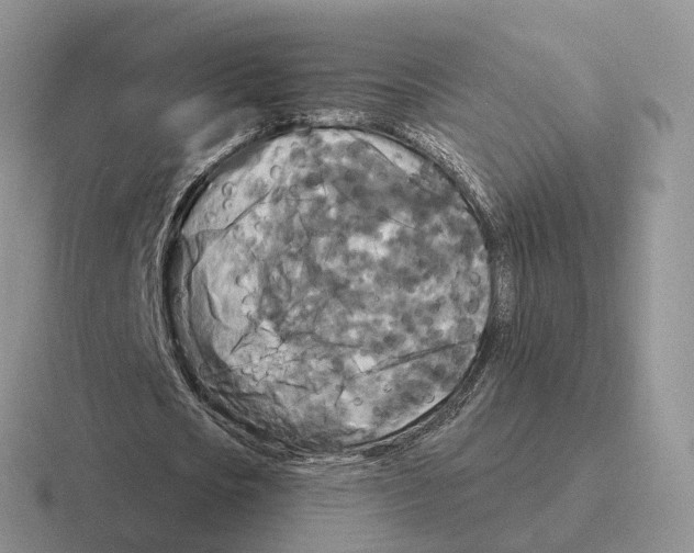 X0000116570721201001071154