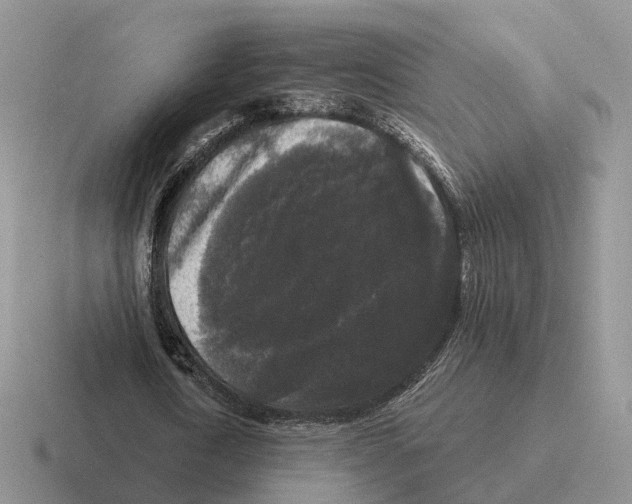 X0000116570722201001071154