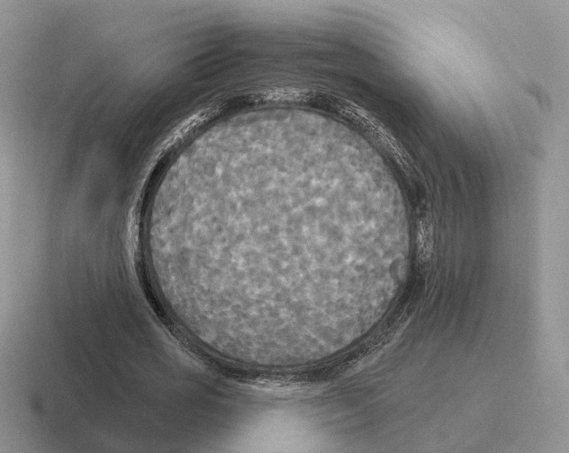 X0000116570725201001071154