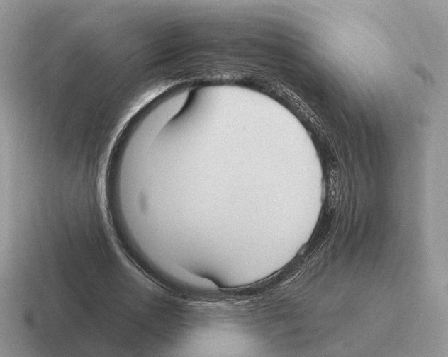 X0000116570726201001071154