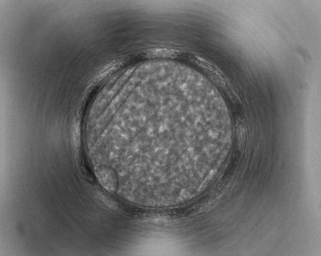 X0000116570729201001071154