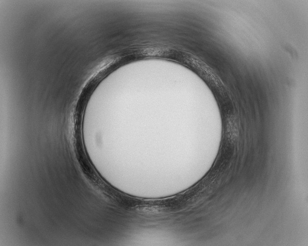 X0000116570730201001071154