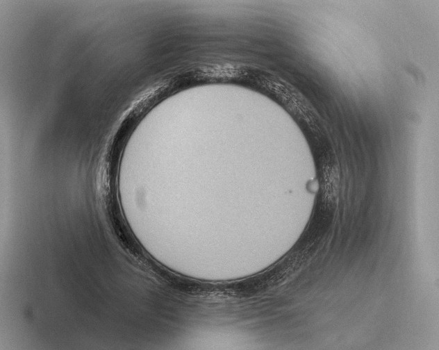 X0000116570731201001071154