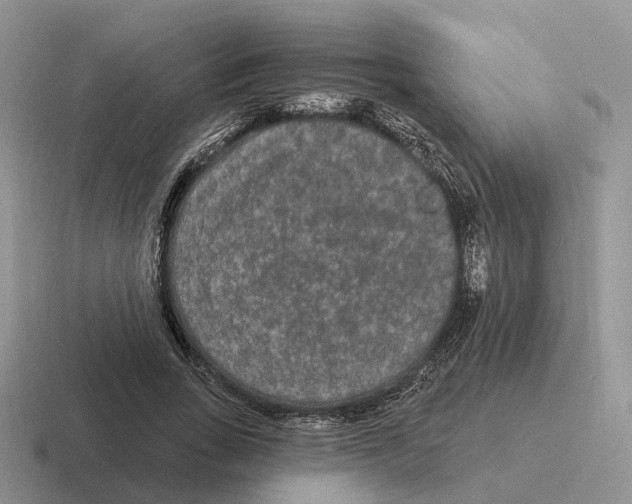 X0000116570735201001071154