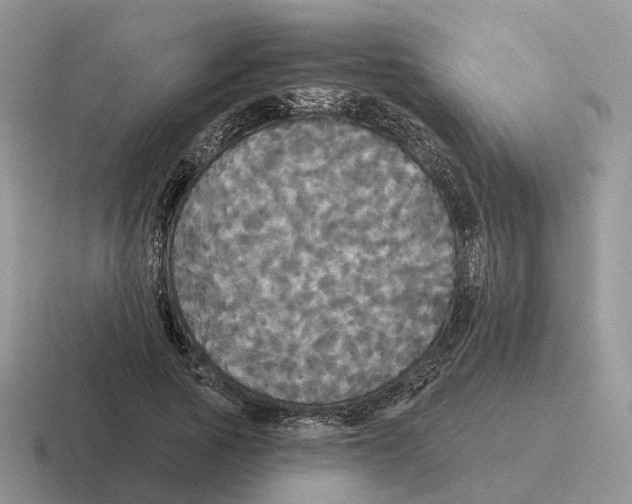 X0000116570737201001071154