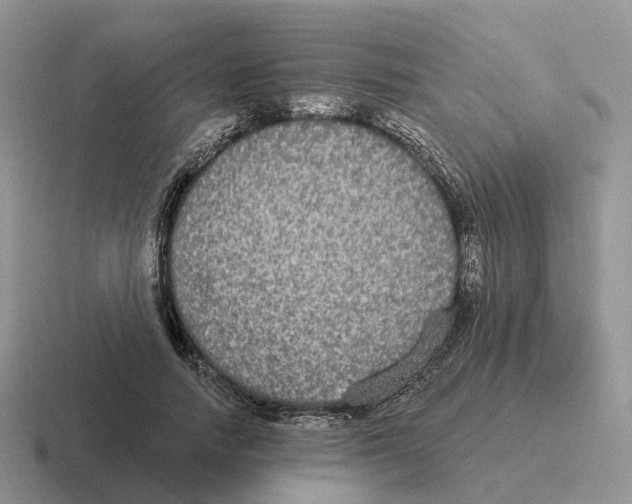 X0000116570738201001071154