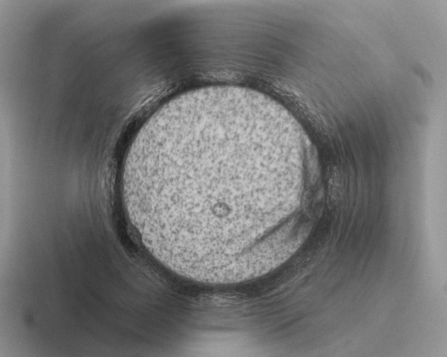 X0000116570739201001071154