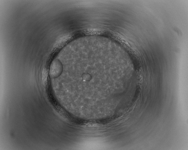 X0000116570742201001071154