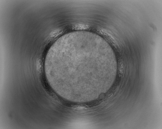 X0000116570743201001071154