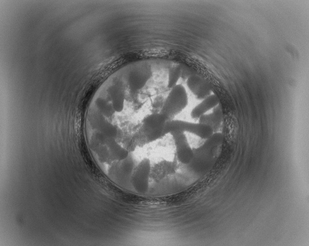 X0000116570745201001071154