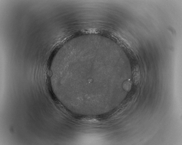 X0000116570747201001071154