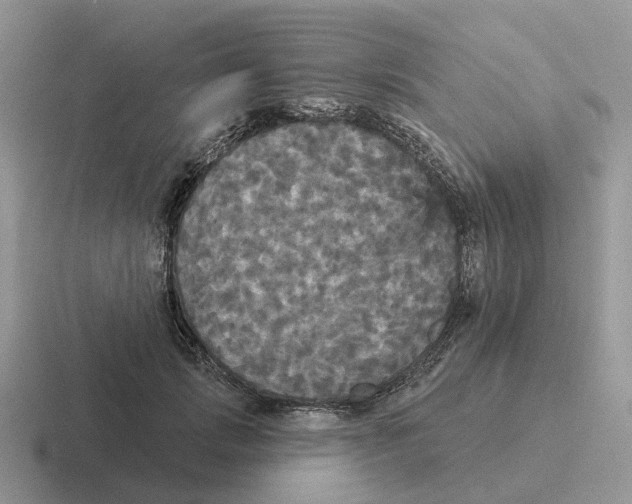 X0000116570749201001071154