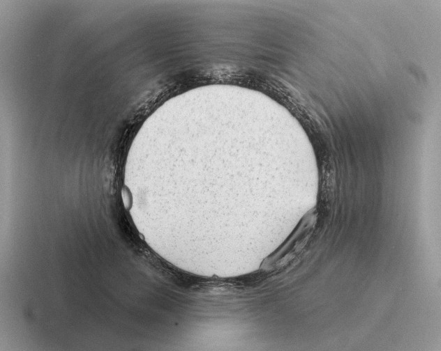 X0000116570750201001071154