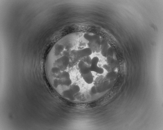 X0000116570757201001071154