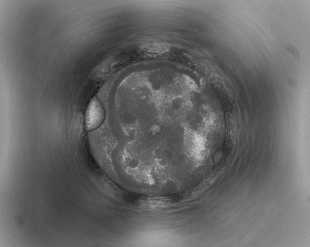 X0000116570758201001071154