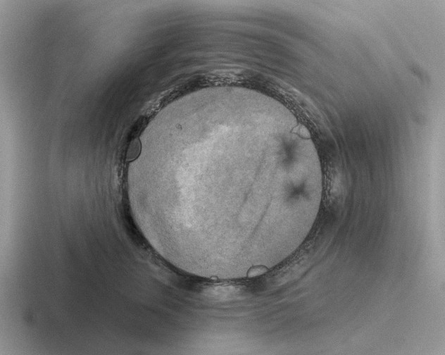 X0000116570759201001071154