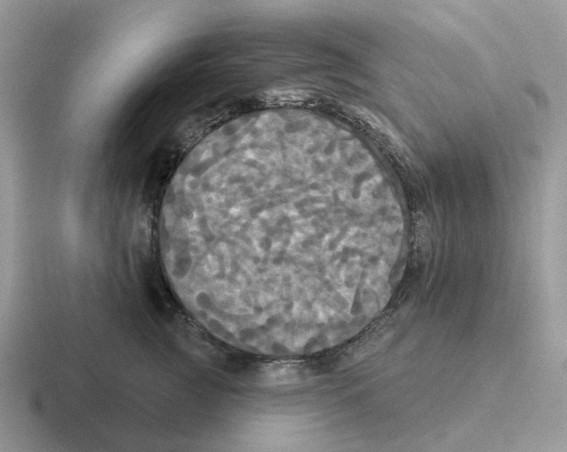 X0000116570761201001071154