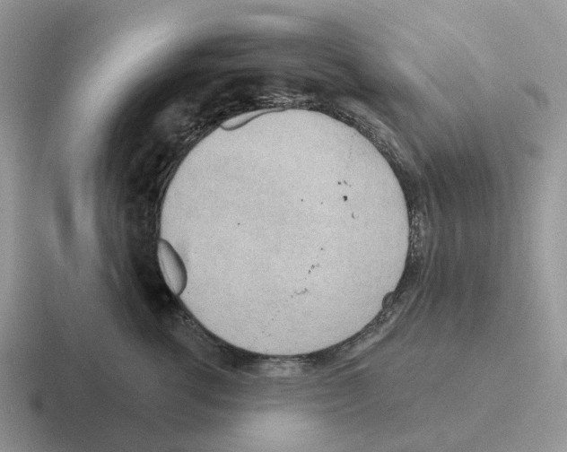 X0000116570762201001071154