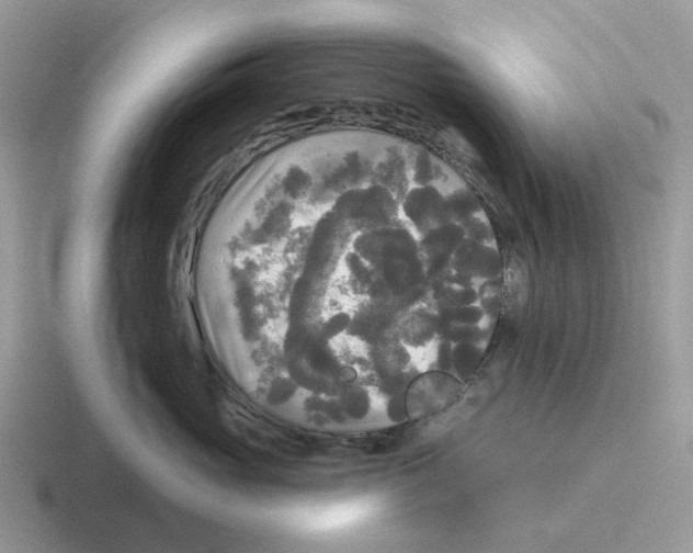 X0000116570765201001071154