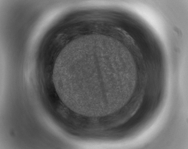 X0000116570766201001071154