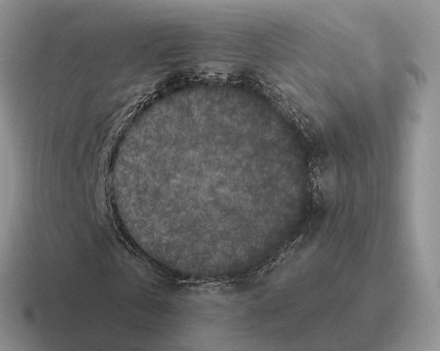 X0000116570769201001071154