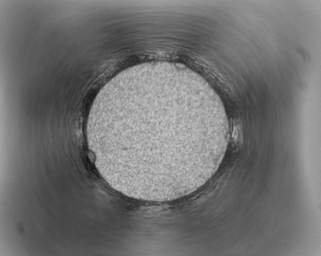 X0000116570771201001071154