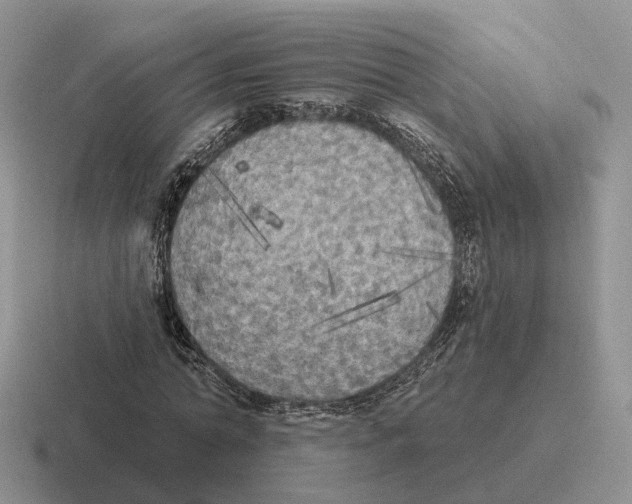 X0000116570774201001071154