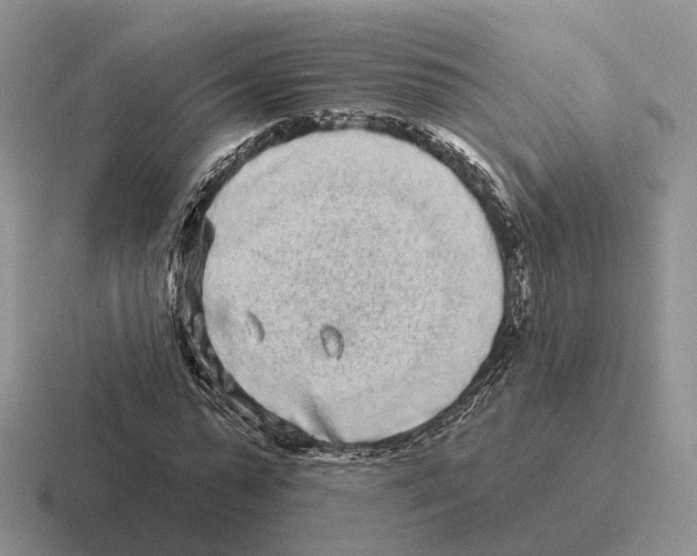 X0000116570775201001071154