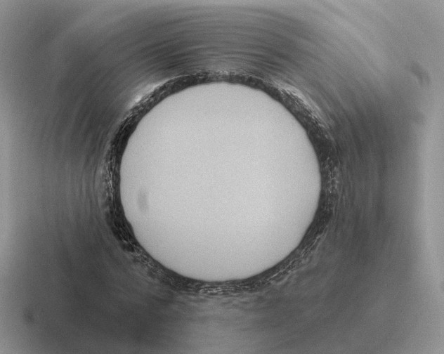 X0000116570776201001071154