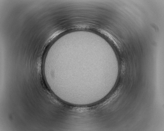 X0000116570778201001071154