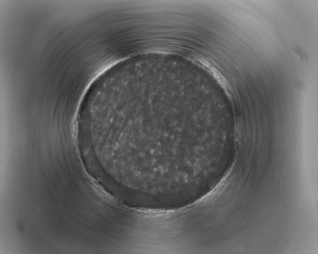 X0000116570779201001071154